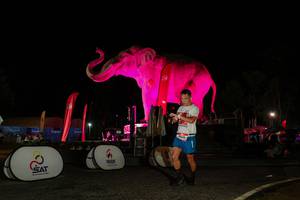 BIB: 
                            <button type="button" onclick="openModal(26534367)" class="btn btn-primary btn-sm float-right btn-popup" data-toggle="modal" data-target=".modal-high-quality">
                        <i class="fas fa-shopping-cart"></i> Add to Cart
                    </button>
                                            <button type="button" onclick="isThisMe(26534367, true)" class="btn btn-success btn-sm float-right btn-popup btn-isme hidden" data-toggle="tooltip" data-placement="bottom" title="นี่คือรูปของคุณใช่ไหม คลิกที่นี่เพื่อเอาเข้าอัลบั้ม">
                        <i class="fas fa-plus"></i> Add to album
                    </button>
                    <button type="button" onclick="isThisMe(26534367, false)" class="btn btn-warning btn-sm float-right btn-popup btn-isnotme hidden">
                        <i class="fas fa-ban"></i> Remove from album
                    </button>